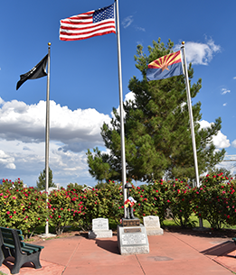 Flags